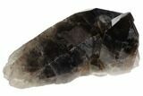 Large Dark Smoky Quartz Crystal Cluster - Brazil #84844-1